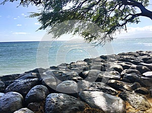 Hawaiian tropical coastline - the Road to Hana