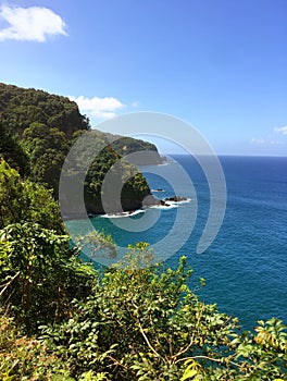 Hawaiian tropical coastline - the Road to Hana