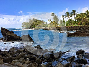 Hawaiian tropical coastline - the Road to Hana