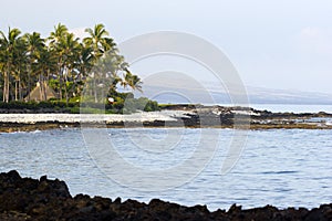 Hawaiian Volcanic Beach