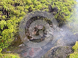 Hawaiian Volcanic Vent at Kilauea