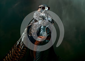 Hawk bird in luxury wealthy fancy chic luxurious impeccable Fur feather fabric outfits isolated on bright background