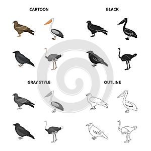 A hawk, a bird of prey, a pelican, a gray crow, an emu ostrich. Bird set collection icons in cartoon black monochrome