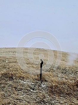 Hawk on a fence post on cold snowy day, scenic drive backroads of Wyoming photo