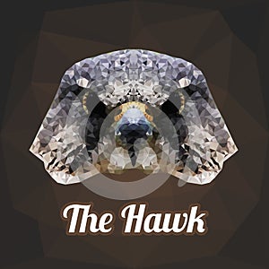 Hawk Head Polygon Vector
