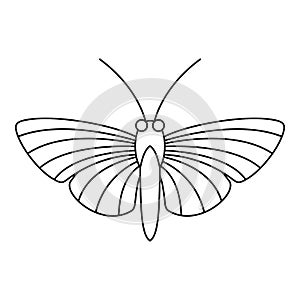 Hawk moth butterfly icon, outline style