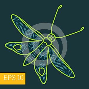 Hawk-moth insect outline