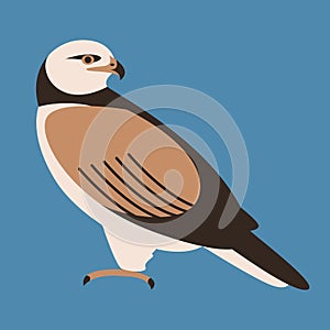 Hawk ,  vector illustration,flat style,  profile side