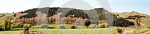 Hawkes Bay Landscape Panorama