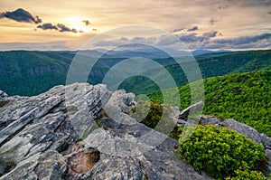 Hawkesbill Mountain, North Carolina