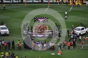 Hawthorn AFL Premiers 2015 MCG Melbourne Victoria Australia