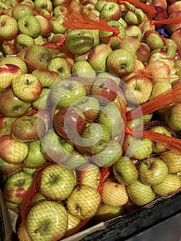Hawthorn Apples photo