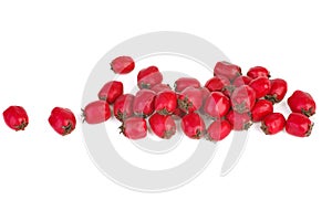 Hawthorn berry isolated on white background