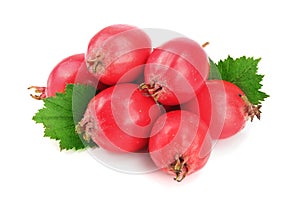 Hawthorn berry with leaf isolated on white background close-up