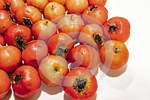 Hawthorn fruits in plate on white background.