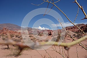 Hawthorn - Quebrada de las conchas / shells ravine - cafayate, argentina