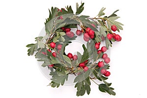 Hawthorn wreath