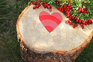 Hawthorne berries and a red paper heart lying on a tree stump