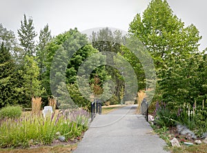 Hawthorne Rotary Park in the Summer