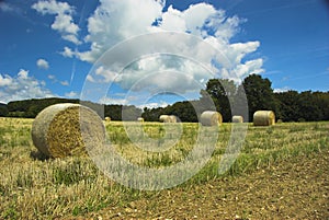 Hay Away!