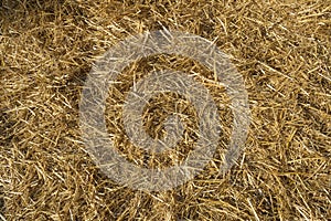 Hay Texture Background, Straw Pattern, Dry Golden Grass Mockup, Dry Baled Hay Bales Stacks Banner