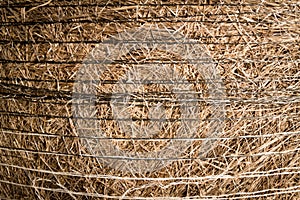 Hay bail close up