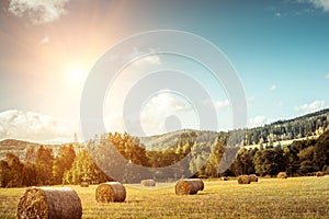 Hay bail harvesting