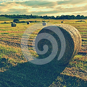 Hay bail harvesting in golden field landscape. Summer Farm Scenery with Haystack on the background of Beautiful Sunset.