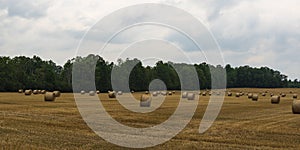 Hay bails on a farmers field