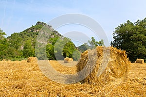 Hay bails in landscape