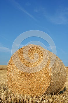 Hay bale