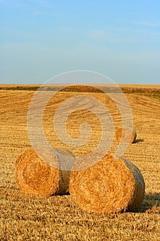 Hay bale