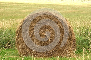 Hay Bale