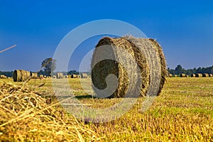 Hay Bale