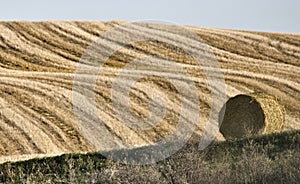 Hay Bale
