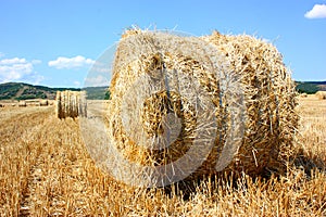 Hay bale