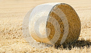 Hay Bale