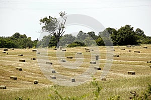 Hay Bale