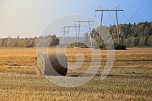 Hay bale. Agriculture field with blue sky and power lines. Rural nature in the farm land. Straw on the meadow.