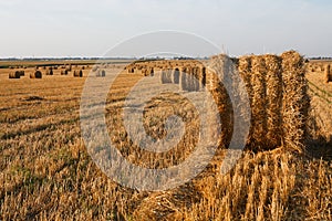 Hay bale. Agriculture field with sky. Rural nature in the farm land. Straw on the meadow. Wheat yellow golden harvest in summer.