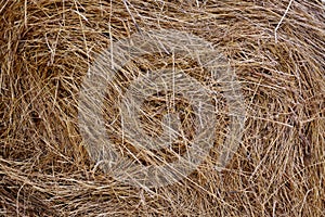 Hay bale as natural background
