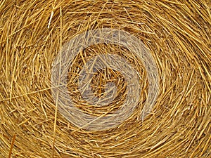 Hay bale background