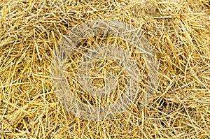 Hay bale background. Hay texture for agriculture