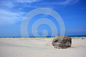 Hay bale on beach