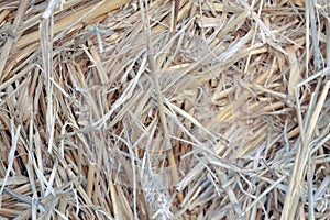 Hay bale compact detail