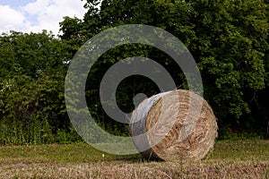 Hay bale in a farm field