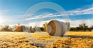 Hay bale in a farm field photo