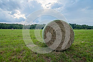 Hay bale in field