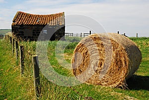 Hay bale in field
