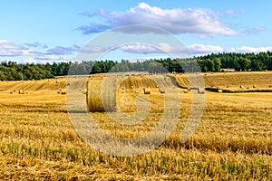 Hay bale field in the Highlands, Scotland